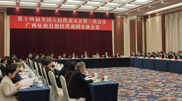 Guangxi strengthens ASEAN cooperation for common destiny