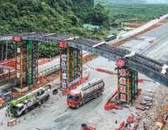 Skywalk in nature reserve made for monkeying about