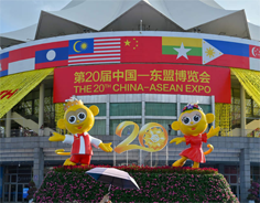 China-ASEAN Expo shines light on shared future