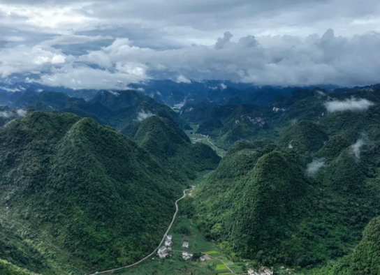 Guangxi's 1st batch of forestry carbon credits issued in Hechi