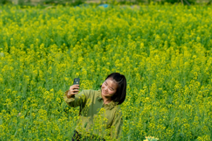 Rape flowers flourish in Baiyun