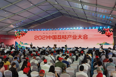 Conghua shines at 2021 China Lychee Industry Conference
