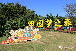 6th Guangzhou Xitang Straw Arts season opens