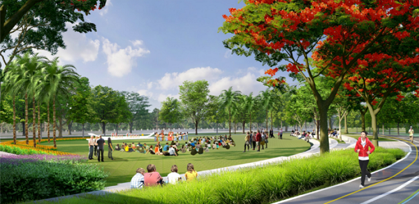 People can relax or do sports exercise in the park..png