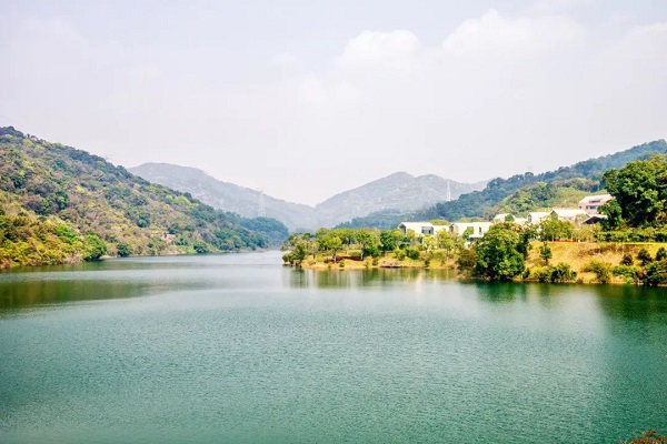 A view of the Water Voice Reservoir..jpg