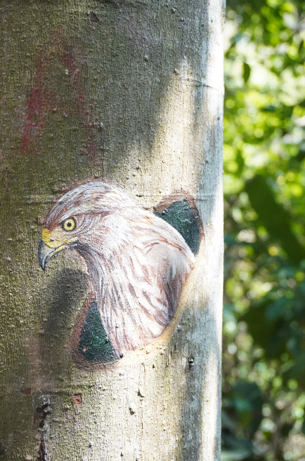 A lovely bird painted on the tree..png