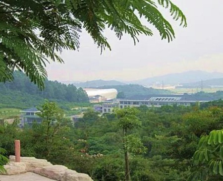 Yingcui Park