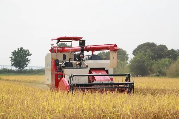 An unmanned harvesting machine operates in the farming field..jpg