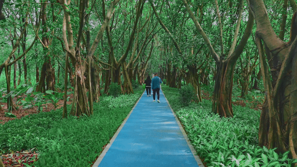 People walk in Rongxi Valley Pocket Park..png