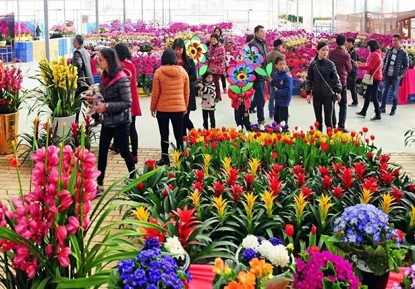 People go to the flower market to but Spring Festival flowers..jpg