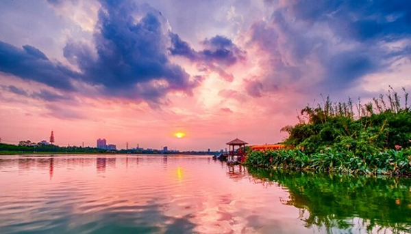 Exhibition hall to be built in Haizhu wetland