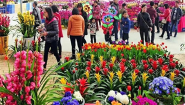 People go to the flower market to but Spring Festival flowers..jpg