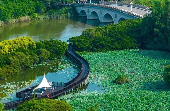 Nansha builds forest parks to become eco-friendly resort 