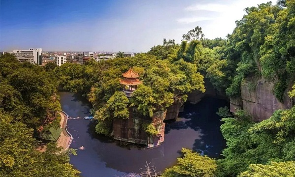 Dagang Park recognized as Nansha's 1st ancient tree park