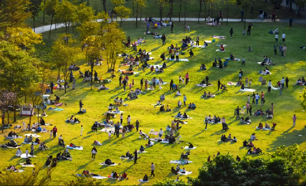 1765508154253099608.png 6.png