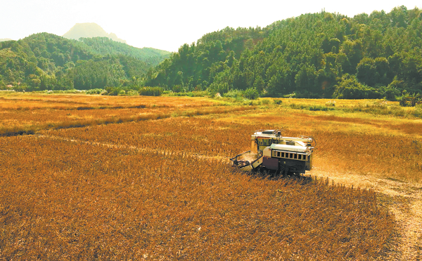 University contributing to food security