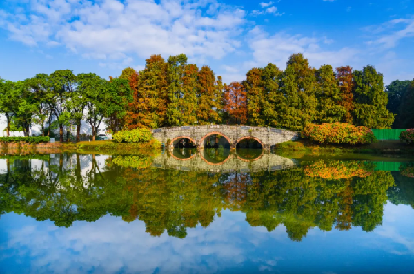 1769414604640022349.png 2.png