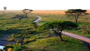 Direct air route links Guangzhou to Tanzania