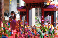 Online activities celebrate Qixi Festival in Tianhe