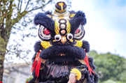 Lion dance competition kicks off in Tianhe