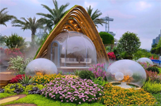 Garden expo, flower exhibition add beauty to Tianhe