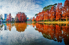 Autumn brings splendid views to Tianhe
