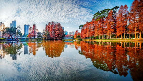 Autumn brings splendid views to Tianhe