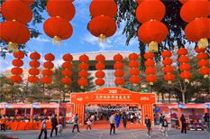 Spring Festival flower fairs open in Tianhe