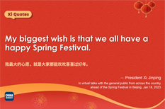 Inspirational remarks from Xi's Spring Festival greetings