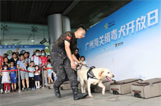 Sniffer dogs are stars of the show in Guangzhou