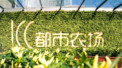 Green concepts boost Tianhe buildings' development