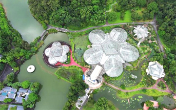 National botanical garden in Guangzhou blooms with beauty