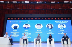 Tianhe forum promotes IP protection