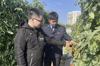 Tianhe helps with rural vitalization through taxes