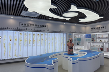 Tianhe's 1st human body science museum opens