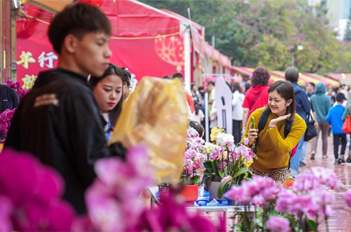 Flower market adds to Tianhe's festive vibes