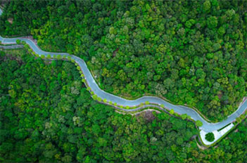 Tianhe to launch forest trails project