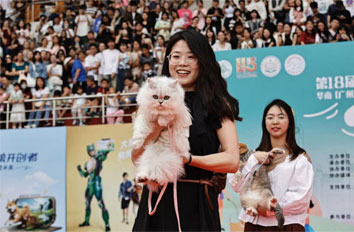 Pet carnival offers great fun in Tianhe