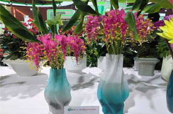 Tianhe agriproducts shine at national fair