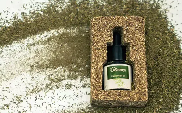 Tianhe-backed brand secures international design gold award