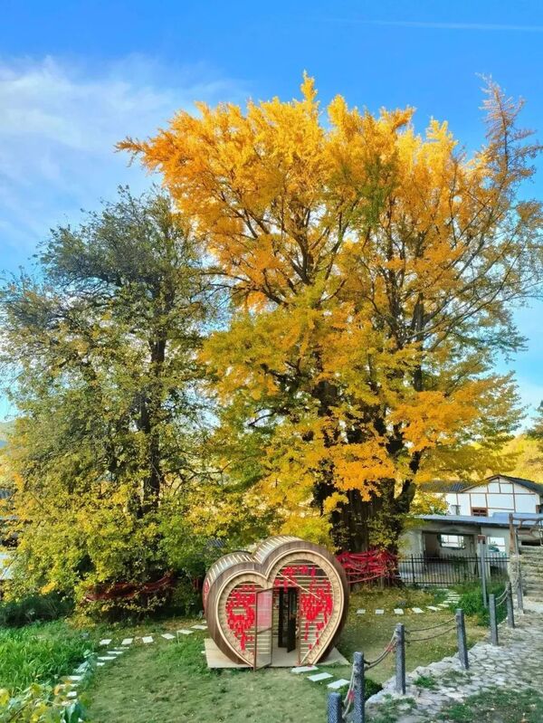 Guiyang and Gui'an: Home to over 4,000 ancient trees