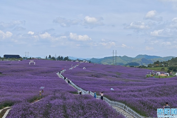 Three-month summer cooling season kicks off in Huaxi
