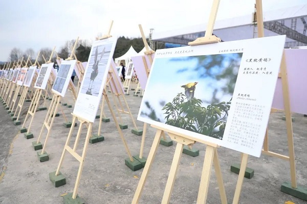 Photography competition's top works exhibited in Guanshanhu