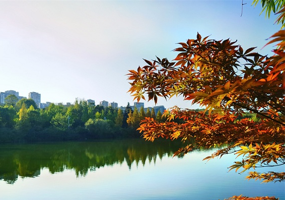 Embrace enchanting autumn views at Guanshanhu Park 