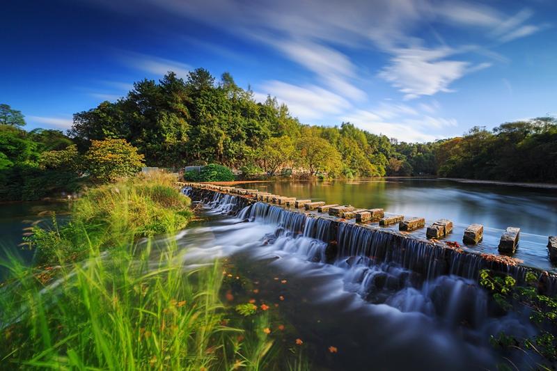 autumn landscape.jpg