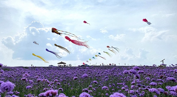 Guiyang holds kite festival in Huaxi district