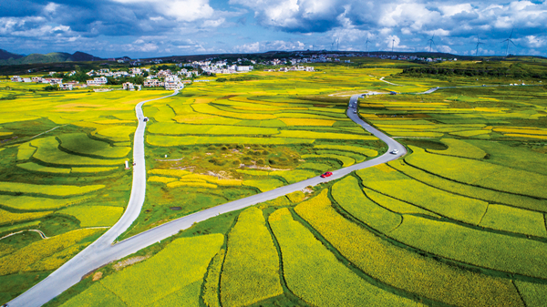 贵阳市花溪区高坡乡通村公路_副本.jpg