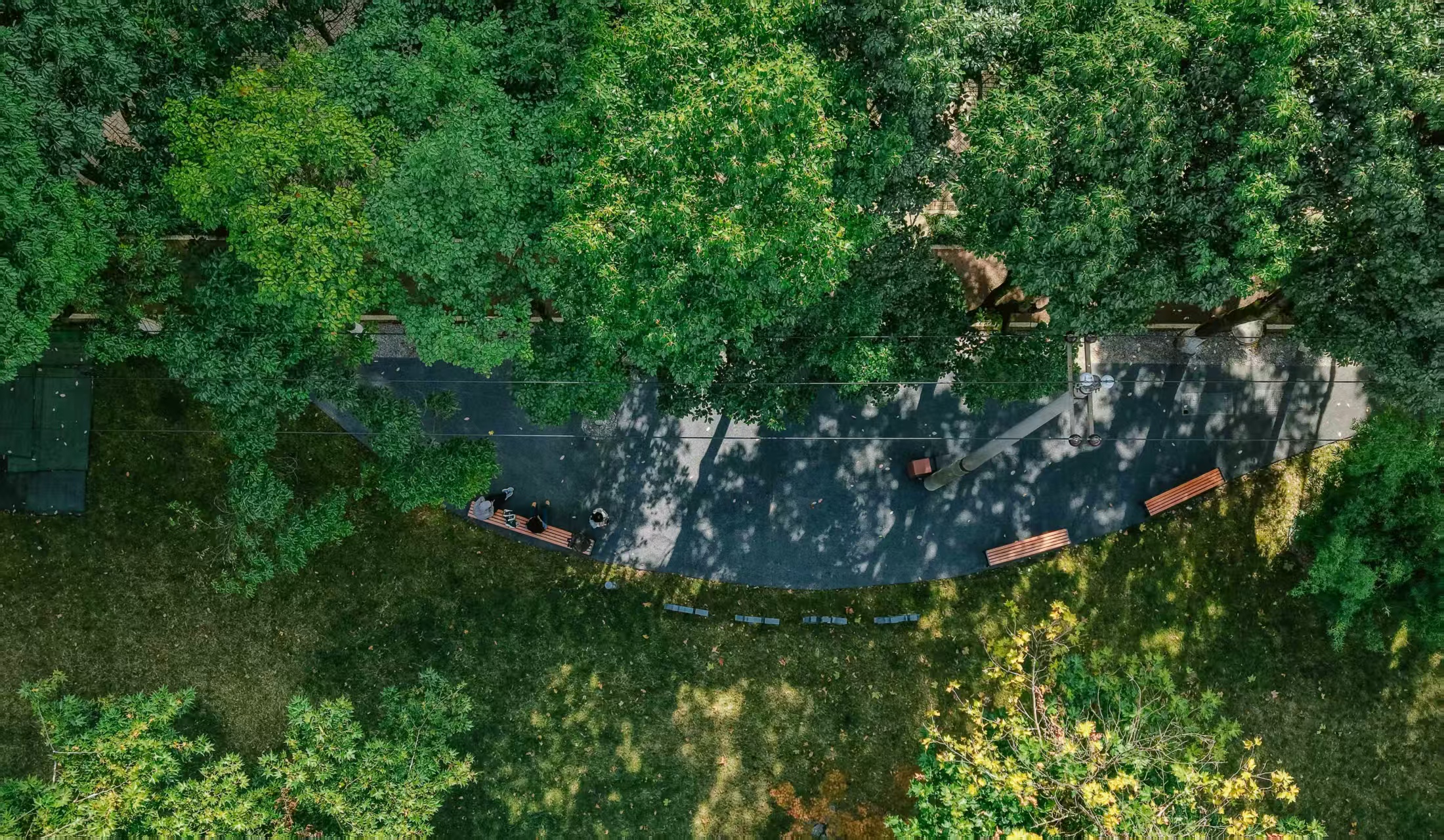 Pocket parks turn Guiyang's urban corners into vibrant green spaces