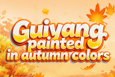 Infographic: Guiyang painted in autumn colors