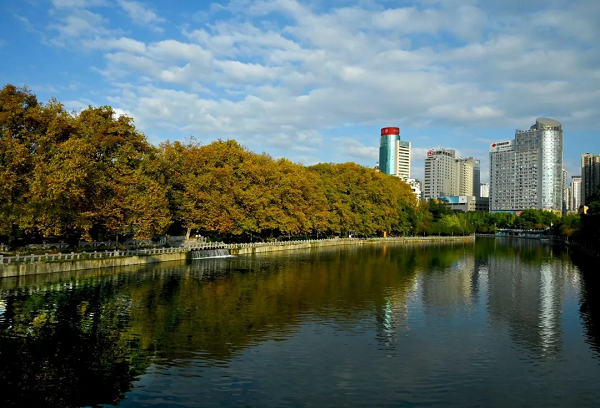 1763366857873044678.png 2.png